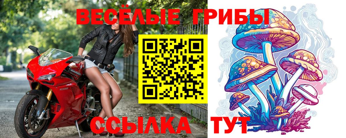 Лосино-Петровский  Псилоцибиновые грибы MAGIC MUSHROOMS  как найти закладки  Галлюциногенные грибы Cubensis  Вход с VPN 